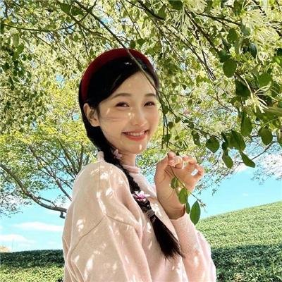 小锅盖当官