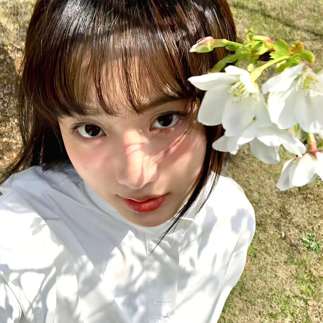 血宝藏第二季